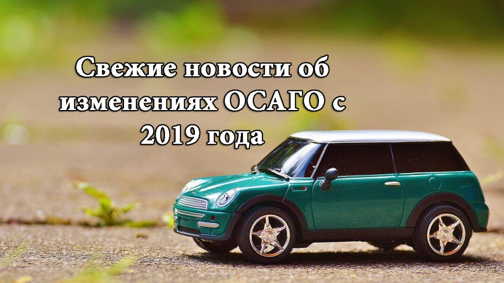 osago 2019